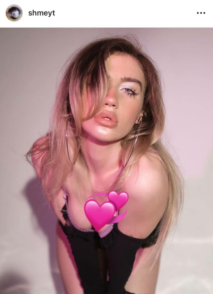 elayne shmeyt sliv onlika